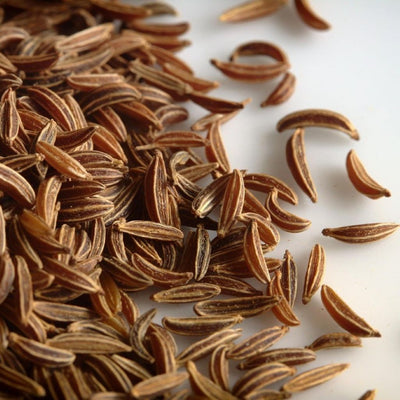 Caraway Essential Oil