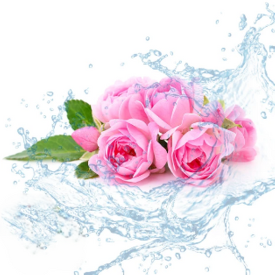 Rose Otto ORGANIC Floral Water