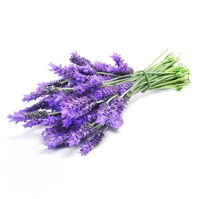 Lavender Organic Essential Oil