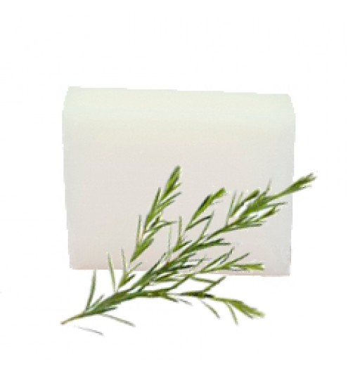 Ecol  Tea Tree SOAP BAR