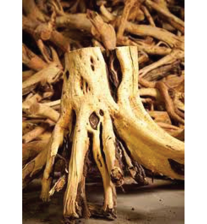 Auroma - Sandalwood East Indian Essential Oil