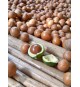 Macadamia Oil